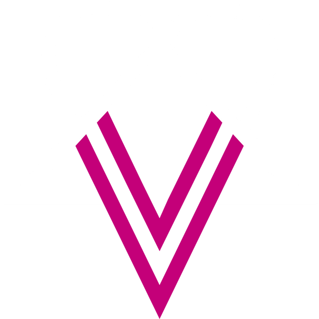 VV Official Store VV Official Store